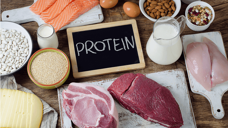 protein